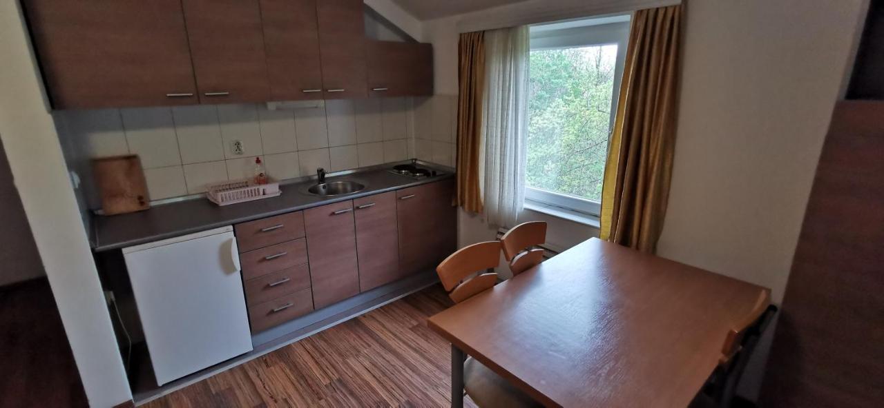 Apartments Banjica Соко Баня Екстериор снимка